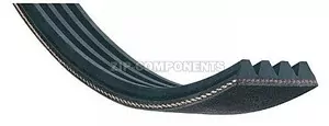 Ремень для сушильной машины 1965 H6 EH80 1965mm Whirlpool 481235818186 C00313102